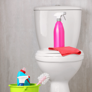 Toilet cleanser Toilet cleanser