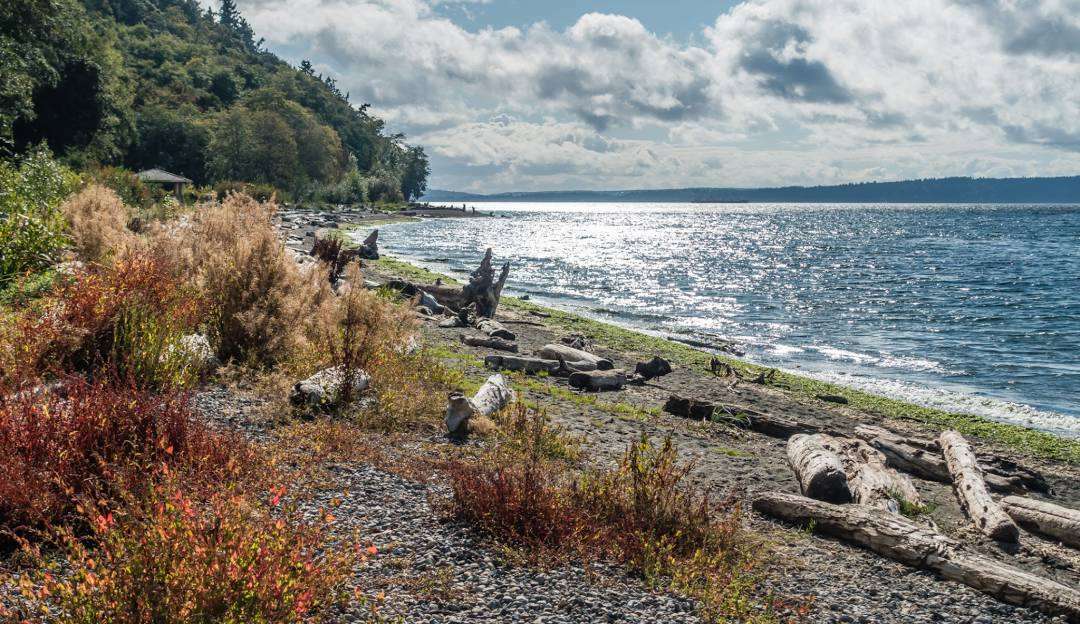 Burien_4 Shoreline, WA