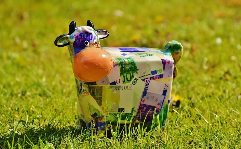 cow-1357202_960_720-825x510