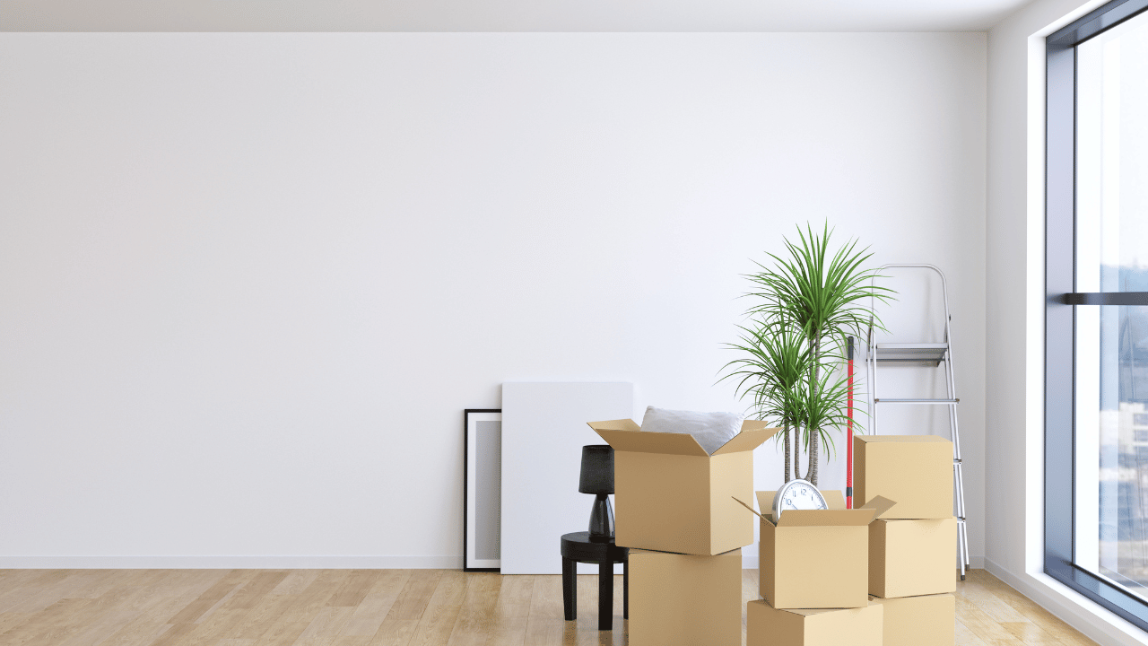Plano TX Move Out Cleaning