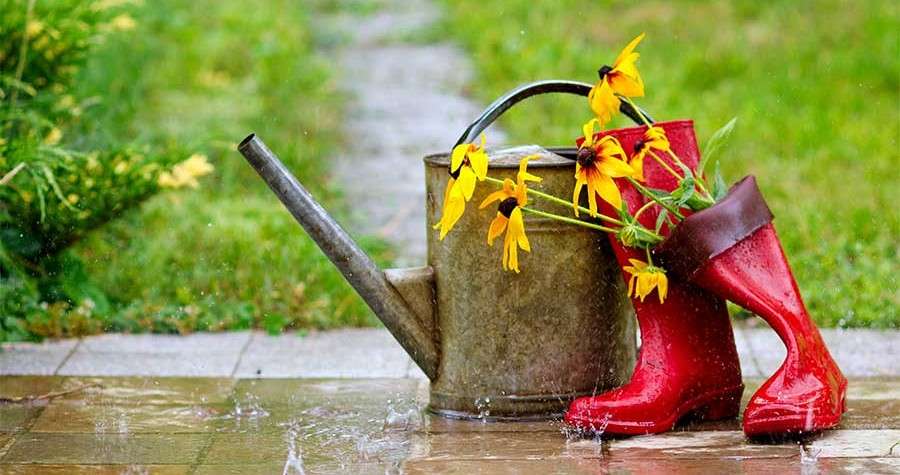 Red rain boots, watering can and flowers in spring garden