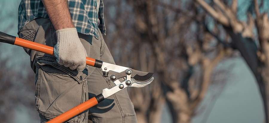 bigstock-Gardener-Posing-With-Telescopi-441373139
