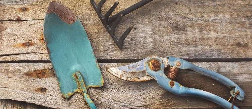 old-garden-tools-how-to-remove-rust-from-tools-ss-featured