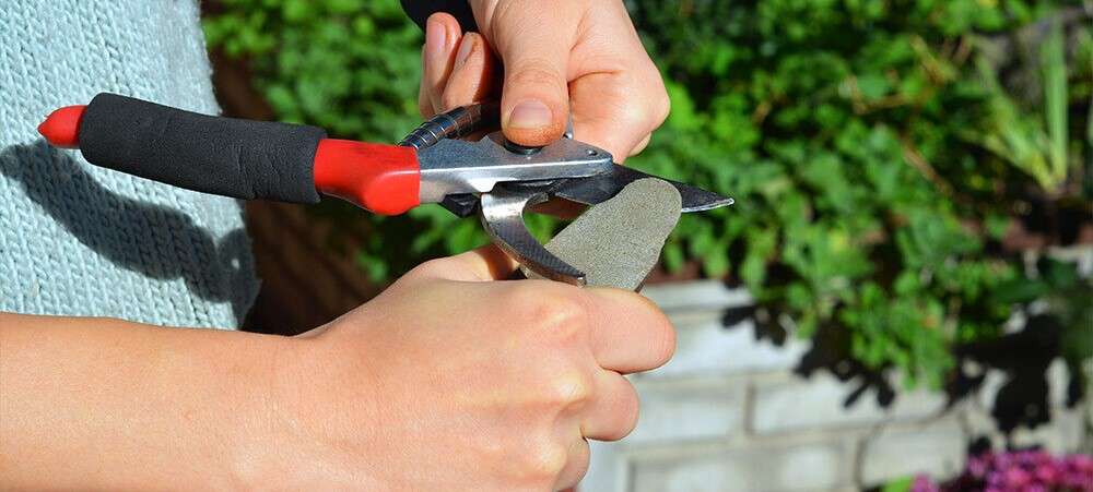 dammanns-garden-co-clean-sharpen-garden-whetstone-pruners